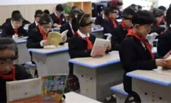6大年度 割韭菜 项目,看完我都佩服这些商业 奇才